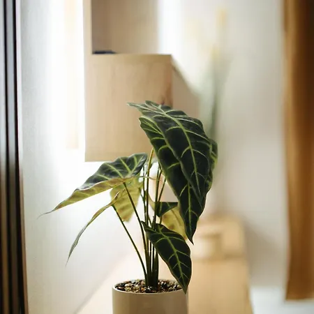 Apartman Dora Centar *