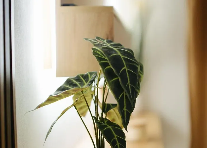 Apartman Dora Centar *