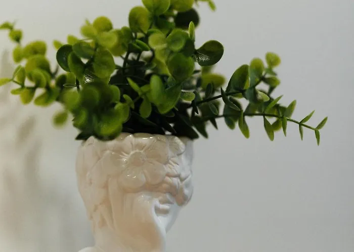 Dora Centar Apartman